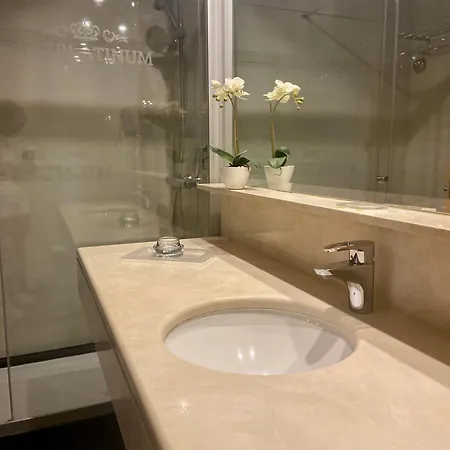 Aparthotel Artplatinum Suites&apartments
